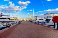 Hurghada : City Tour with Seafood Lunch, Big Mosque & Shopping 10