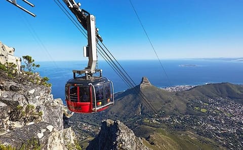 Cape Town Tour: Cape Point, Table Mountain, and Boulders Beach