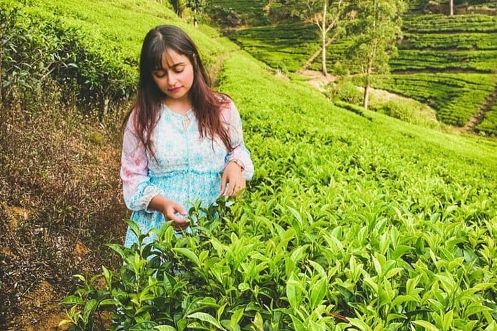 The Tea Hubs of Srilanka