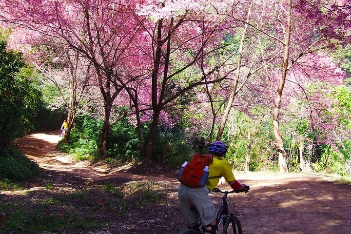 Chiang mai Suthep National Park Leisure Hiking & Mountain Biking