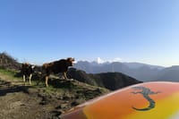 Jeep Adventure to Volcanic Pools & UNESCO Forest Treasures 9
