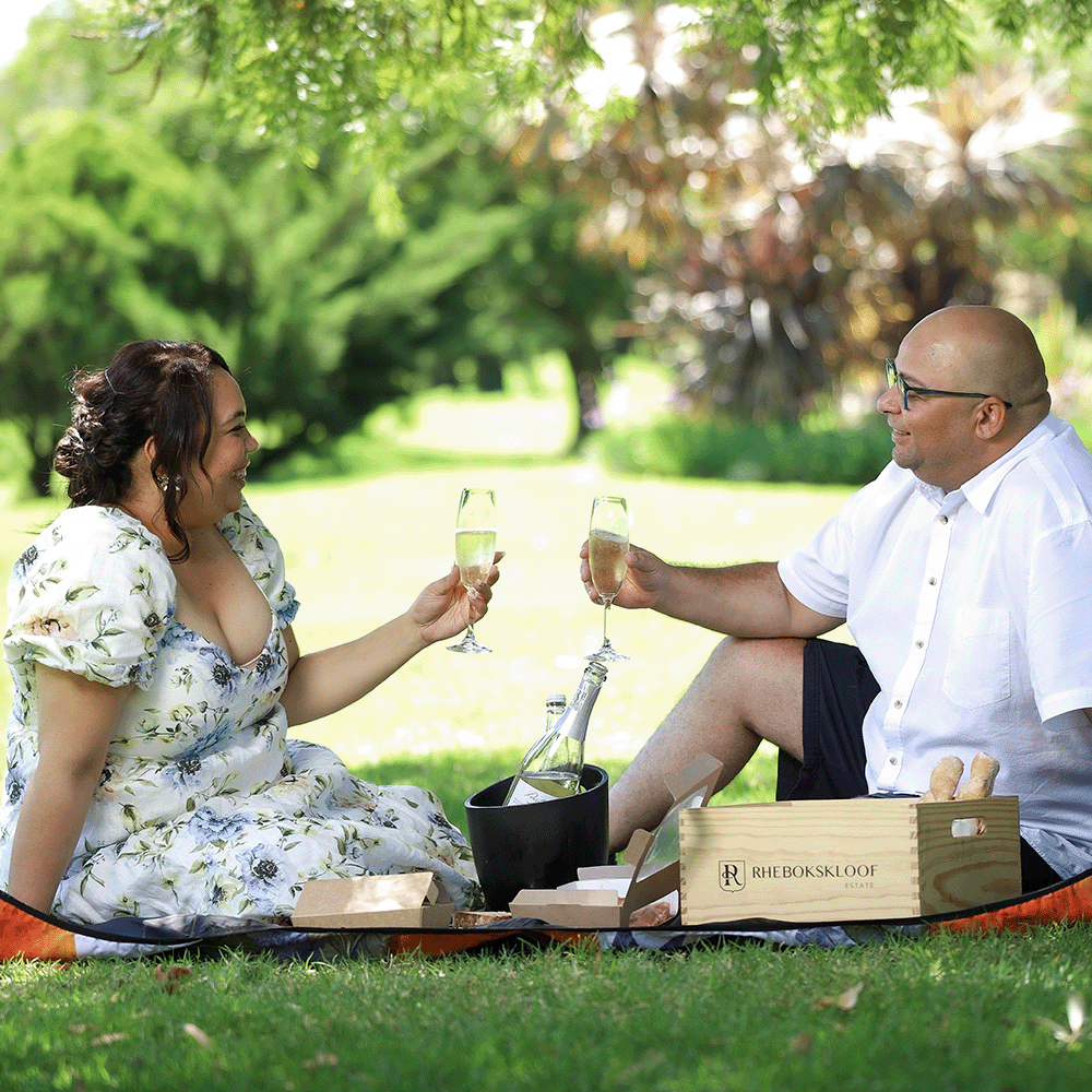 A couple sitting on a blanket at Rhebokskloof Wine Estate, toasting with wine glasses. 