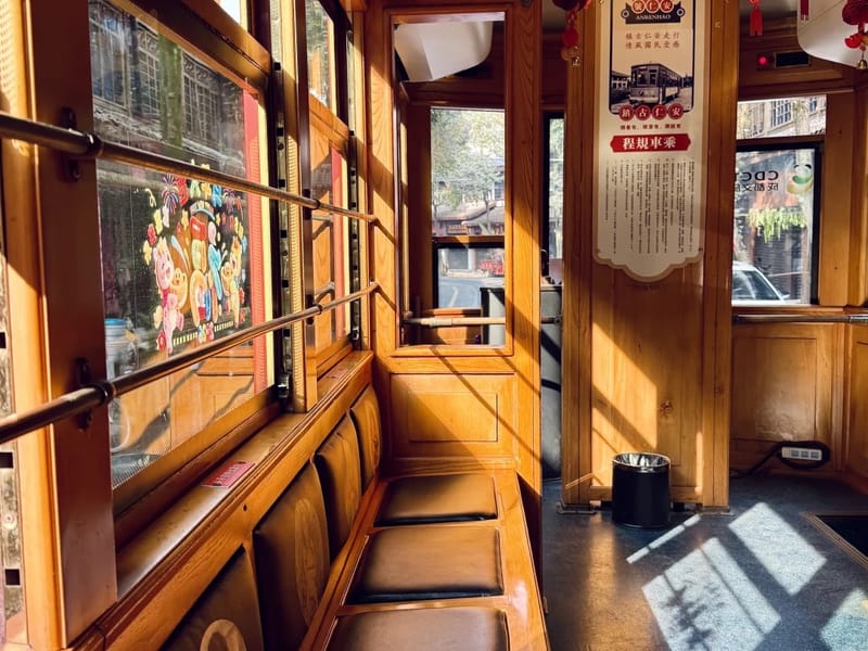 Anren Old Town & Blueberry Farm Private Day Trip