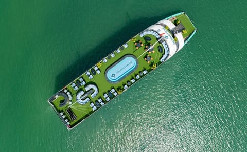 Luxury Day Cruise in Halong Bay from Hanoi