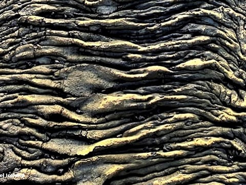 Hike to Volcanic Eruption Sites & Reykjanes Tour, photo 22