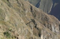 Full Day Colca Canyon Tour 2