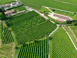 Prosecco Tasting in Countryside Winery