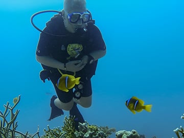 Experience the thrill of diving into the crystal-clear waters of red sea  and coming face-to-face with the Red Sea's colorful