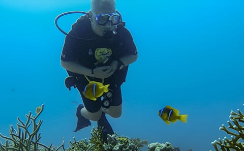 Sharm El Sheikh 8-Day All-Inclusive Resort Stay