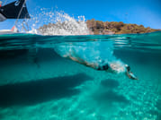 Island hopping Mykonos 5