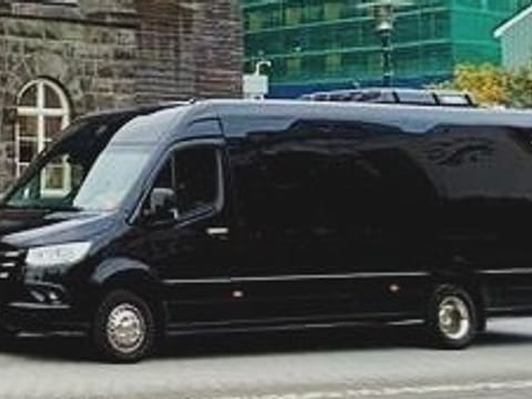 Private Blue Lagoon transfer with 3h wait - Sprinter 19 Pax , photo 3