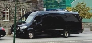 Private Blue Lagoon transfer with 3h wait - Sprinter 19 Pax  3