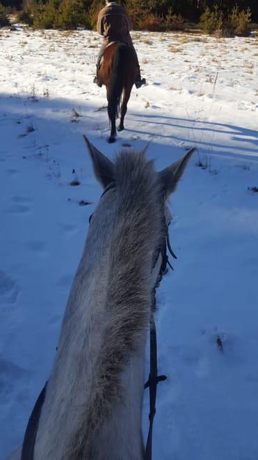 Horse Riding Lessons at the Heart of the Rose Valley photo 5