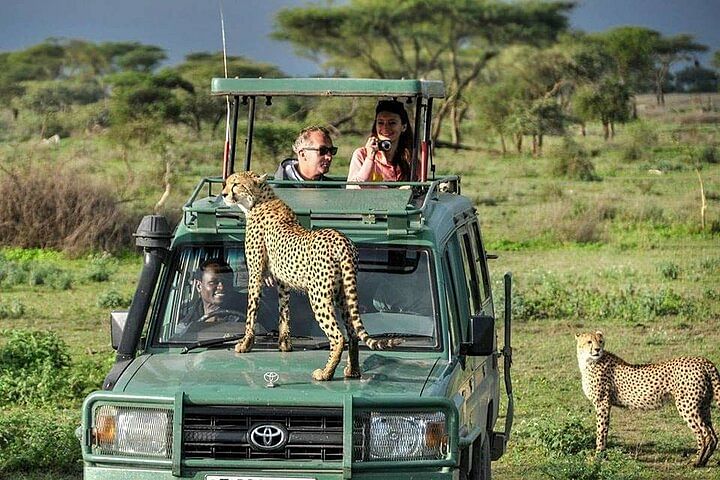 Samburu & Lake Nakuru Safari: Big 5 Adventure & Birdwatching Experience