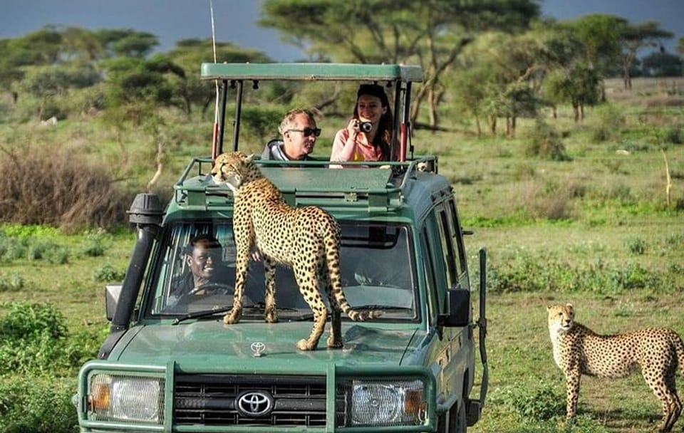 Samburu National Reserve and Lake Nakuru 4-Day Safari