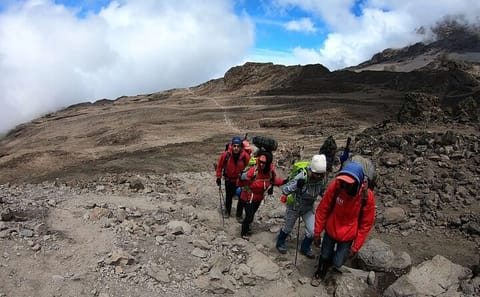 Full-Day Guided Hike in Mount Kenya National Park