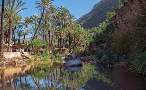 Half-Day Paradise Valley Tour from Agadir