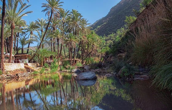 Paradise valley Half Day Experience from Taghazoute
