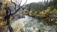 From the Deepest Gorge to the Highest Peak  10