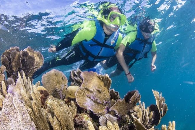 Amazing Snorkeling Experience in Cancun 9