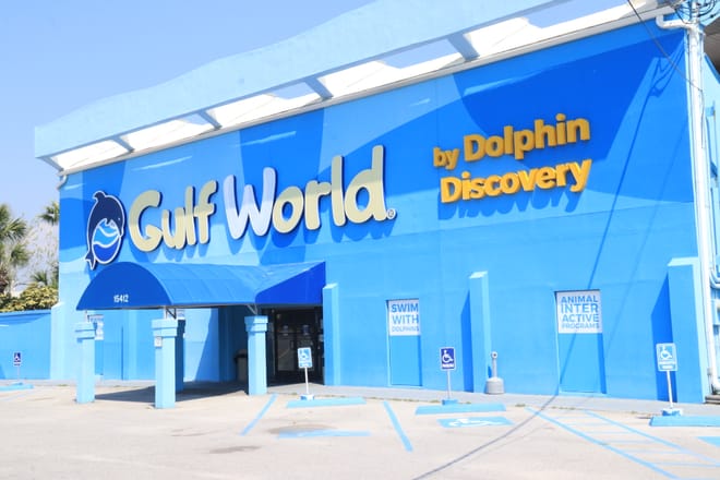 Dolphin Swim Adventure at Gulf World Marine Park photo 6