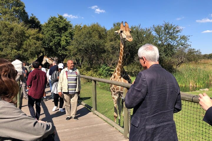 Cradle of Humankind Tour from Johannesburg 2
