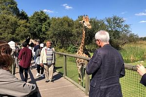 Cradle of Humankind Tour combined with a Lion Safari from Johannesburg