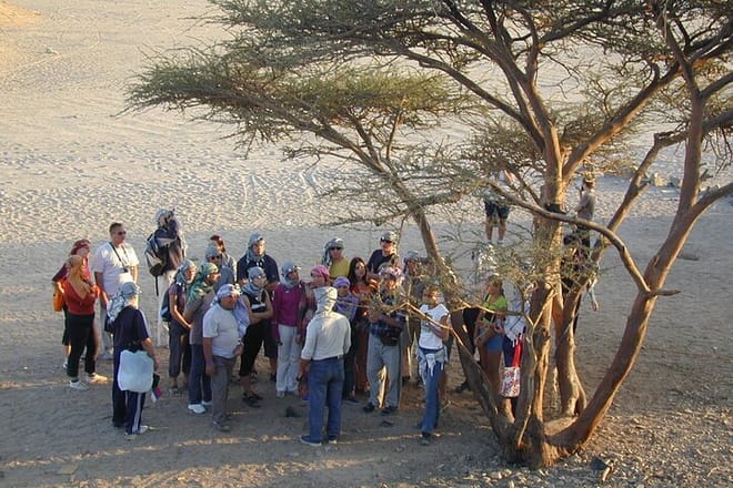 Safari Jeep Full Day, Dinner, Show, &amp; Camel Ride - Marsa Alam