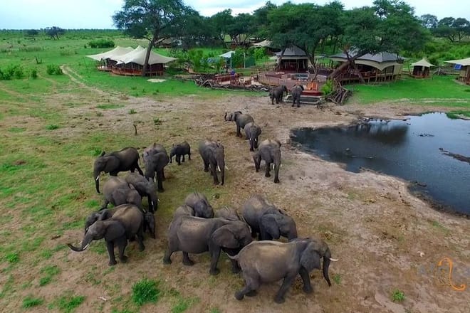 Somalisa Camp Water Hole