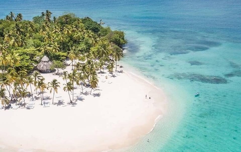 Whale Watching and Waterfall Adventure in Punta Cana