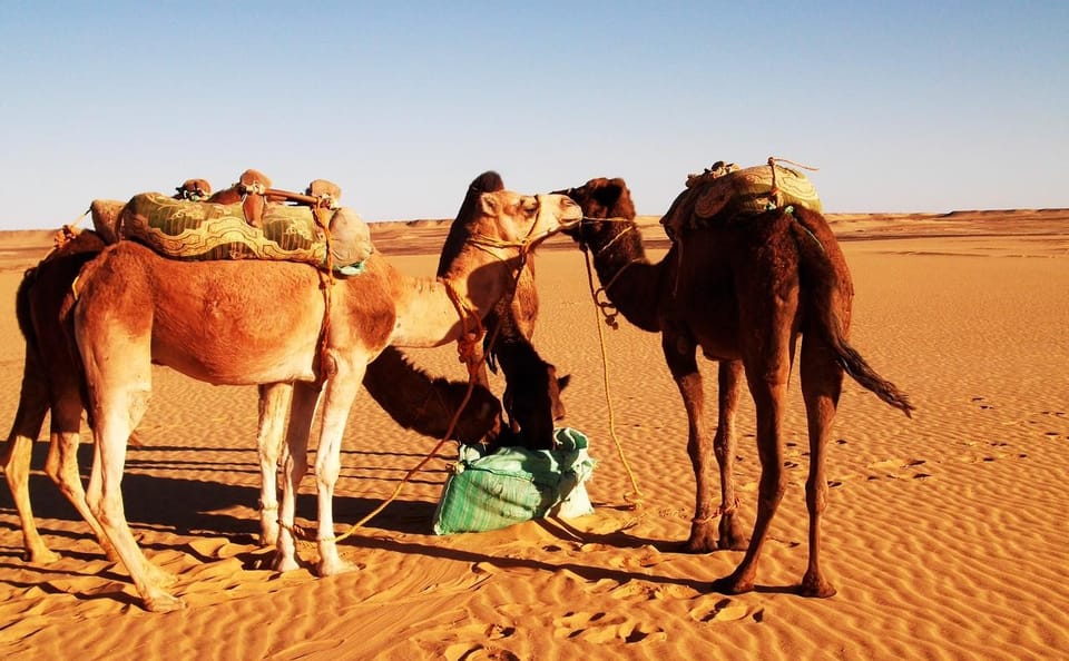 8-Day Private Adventure in Cairo's White & Black Desert