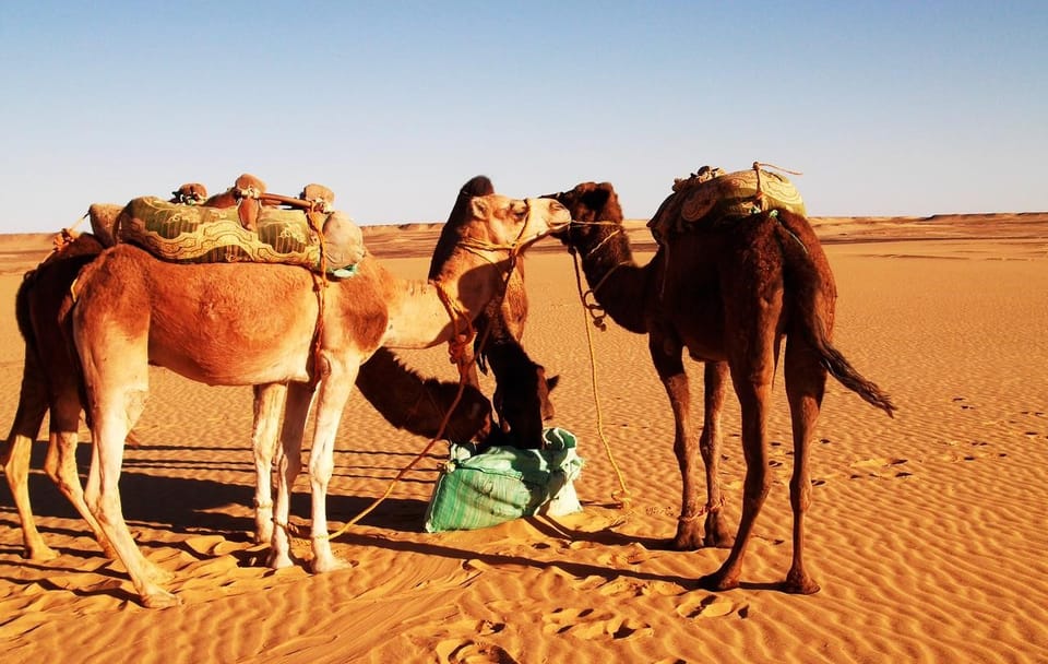 8-Day Private Adventure in Cairo's White & Black Desert