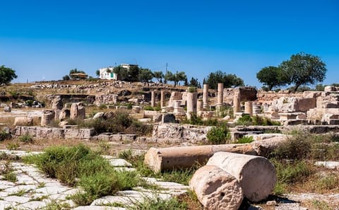 Private Full Day Tour of Umm Qais and Pella from Amman