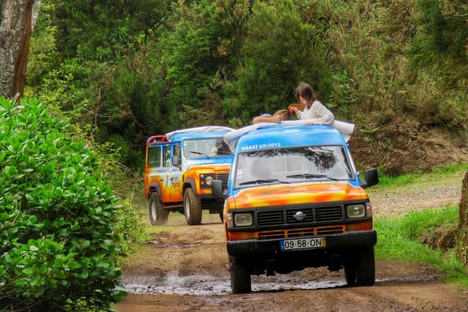 Private Small Group Full Day 4x4 Tour in Northwest Madeira 9