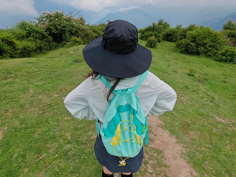 Chengdu: Wolong Alpine Meadow & Forest Private Day Trip