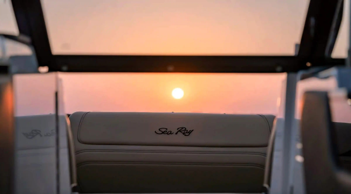 ❖ Sea Ray SDX | Private