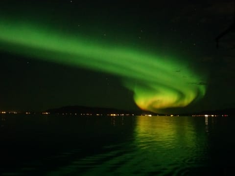 Travelers enjoying a Northern Lights boat tour near Reykjavík