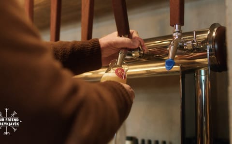 Private Beer Tasting Tour at Reykjavik Breweries