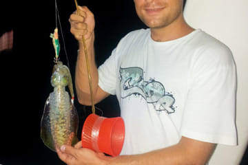 Night Squid Fishing Tour in Phu Quoc, Vietnam