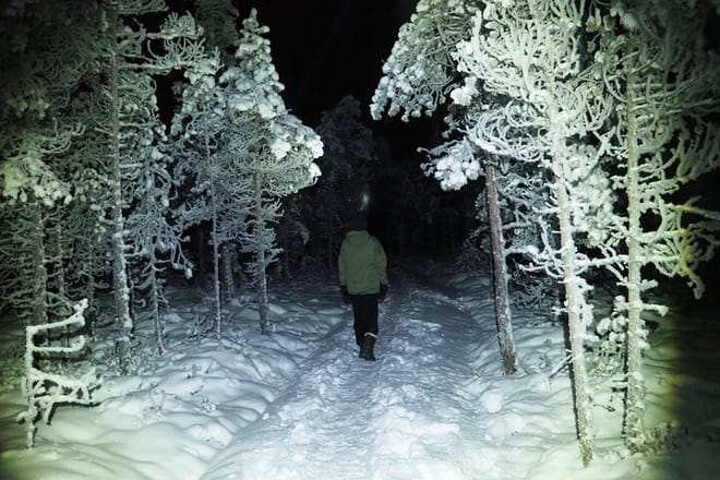 night walk in a snowy forest