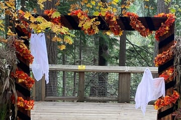 4 Hours Private tour of City of Vancouver.