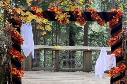 4 Hours Private tour of City of Vancouver.