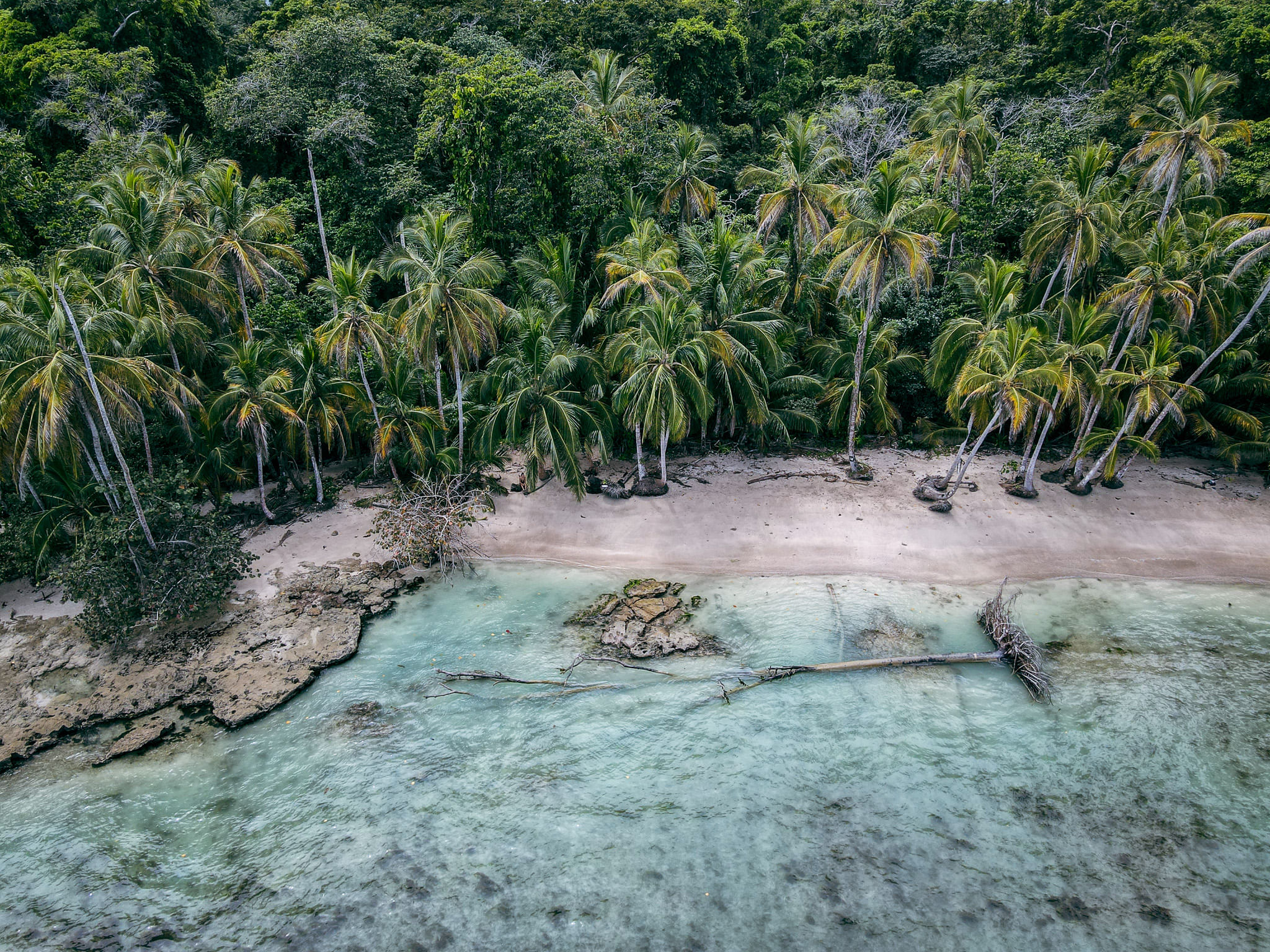 The Beack in Cahuita National Park