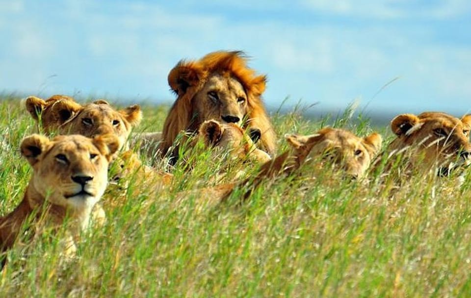 7days Breathtaking Kenya Safari