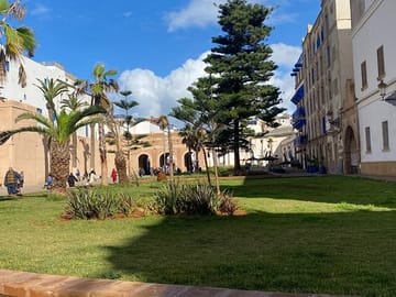 Essaouira Day Trip: Explore Medina and Fishing Port from Marrakesh