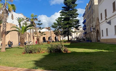 Essaouira Day Trip: Explore Medina and Fishing Port from Marrakesh