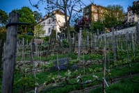 Private Vintage Car with "Montmartre"area in Paris &CDG Transfers 8
