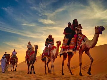 Camel ride