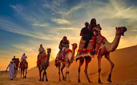 9-Day Luxury Tour of Dubai and Abu Dhabi with 5-Star Stay