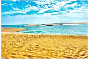 Desert Safari Adventure with Camel Ride and Sandboarding in Doha